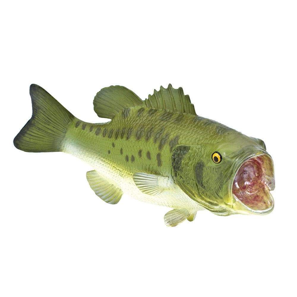 Safari - Largemouth Bass