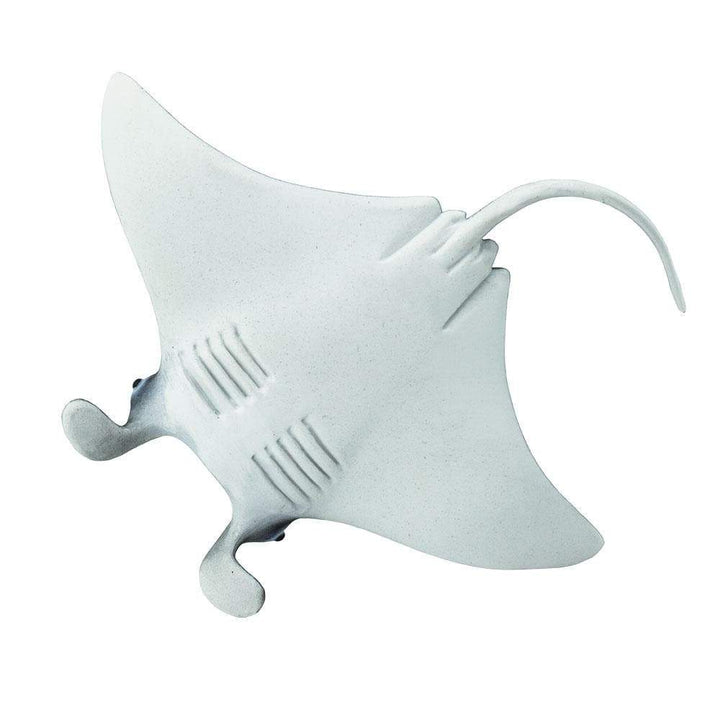 Safari - Manta Ray