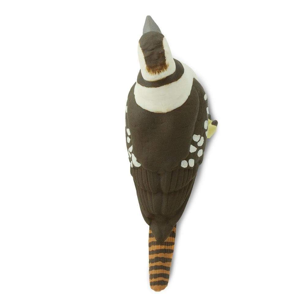 Safari - Kookaburra