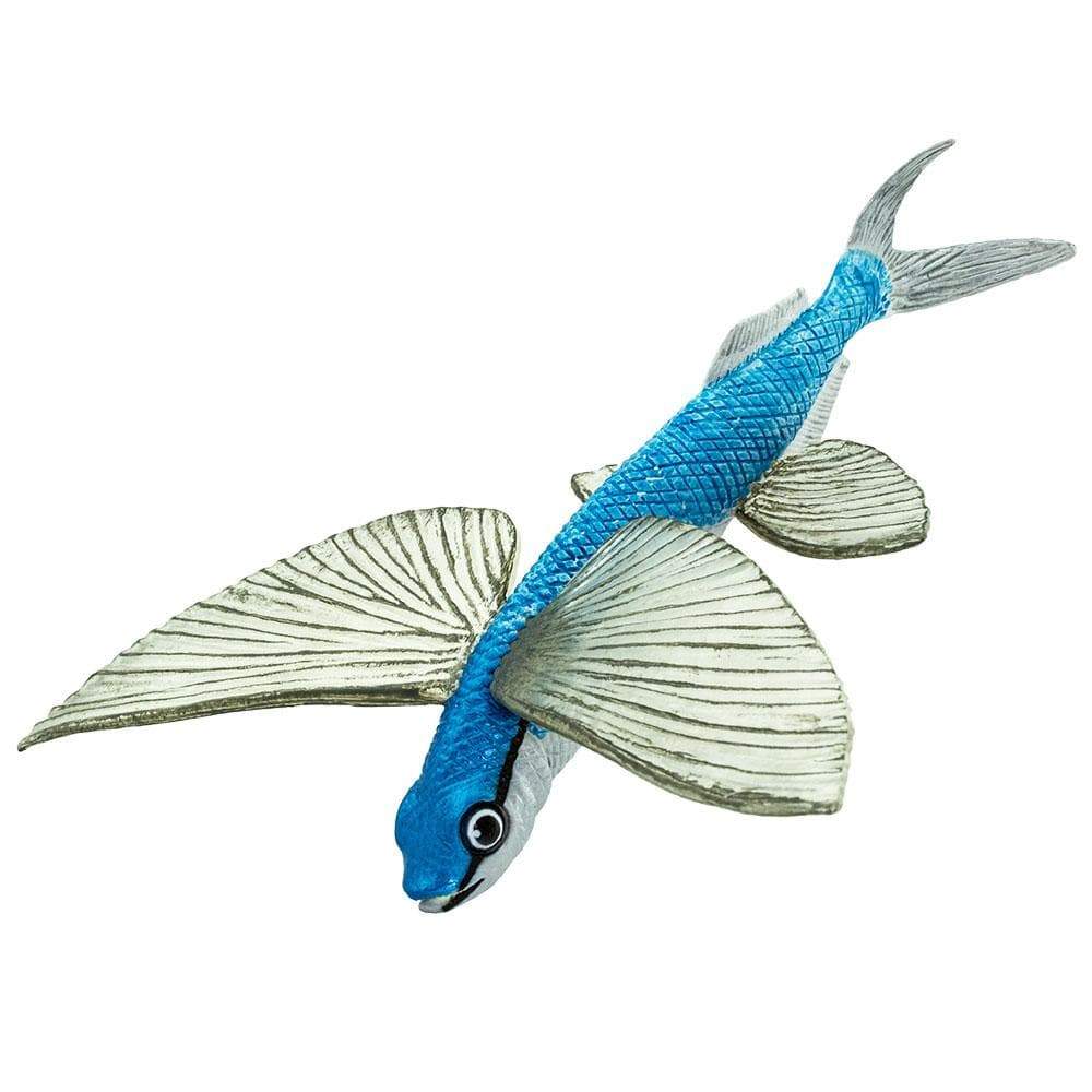 Safari - Flying Fish