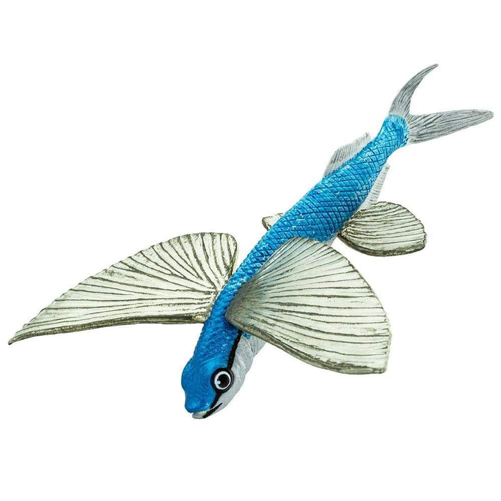 Safari - Flying Fish