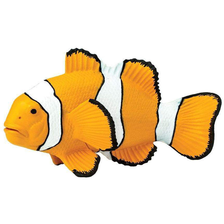 Safari - Clown Anemonefish