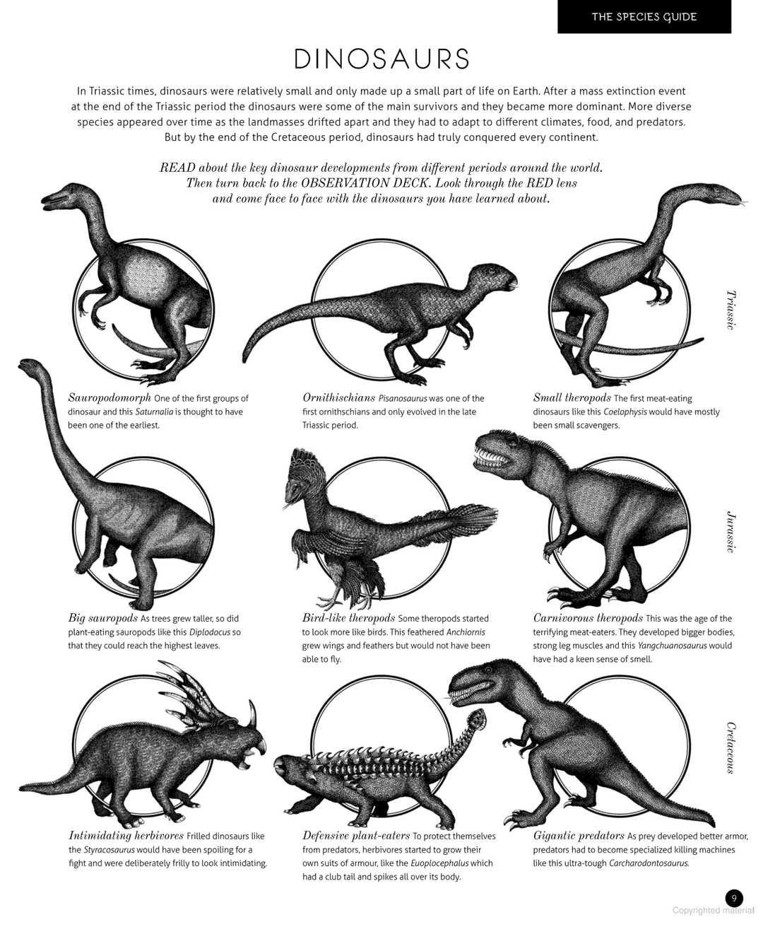 Book - Illumisaurus