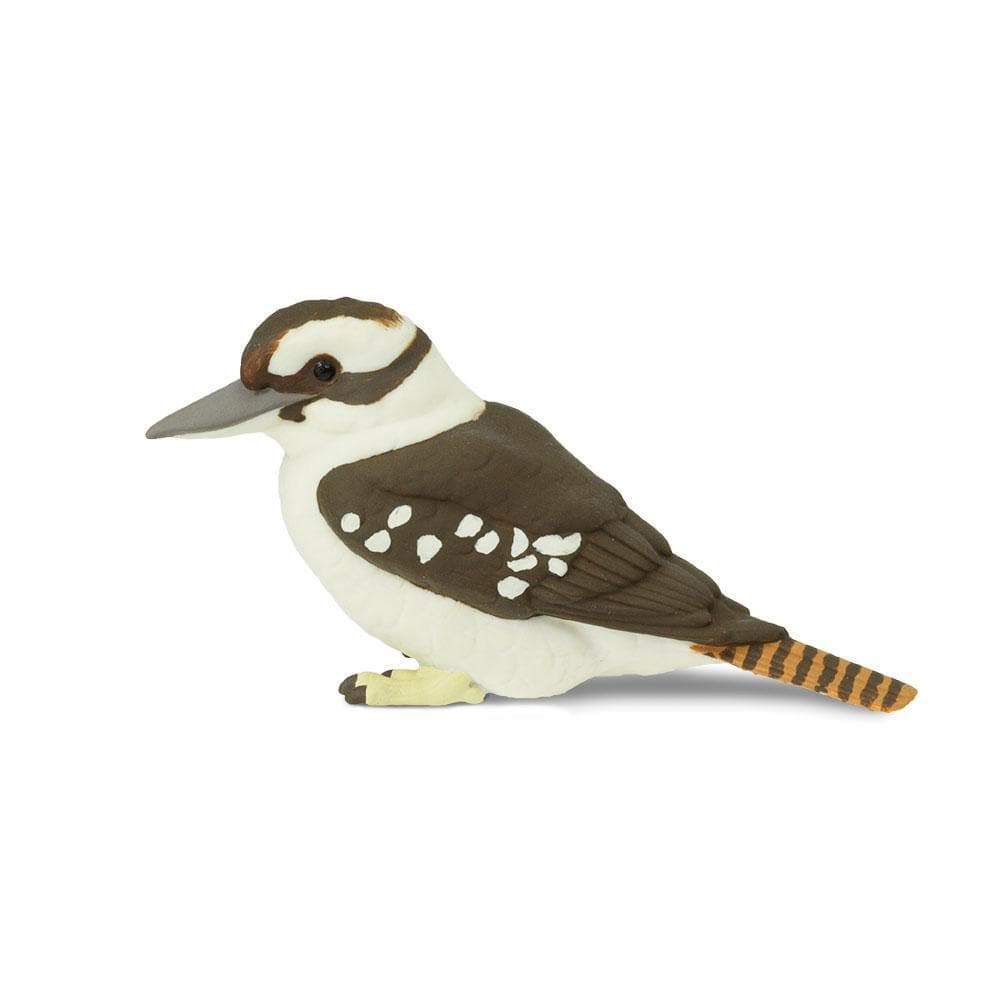 Safari - Kookaburra