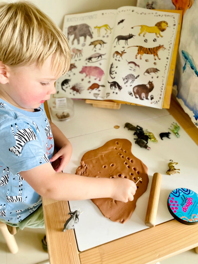 Rainbow Brights Scented Playdough - Chocolate Brown (280g Jar)