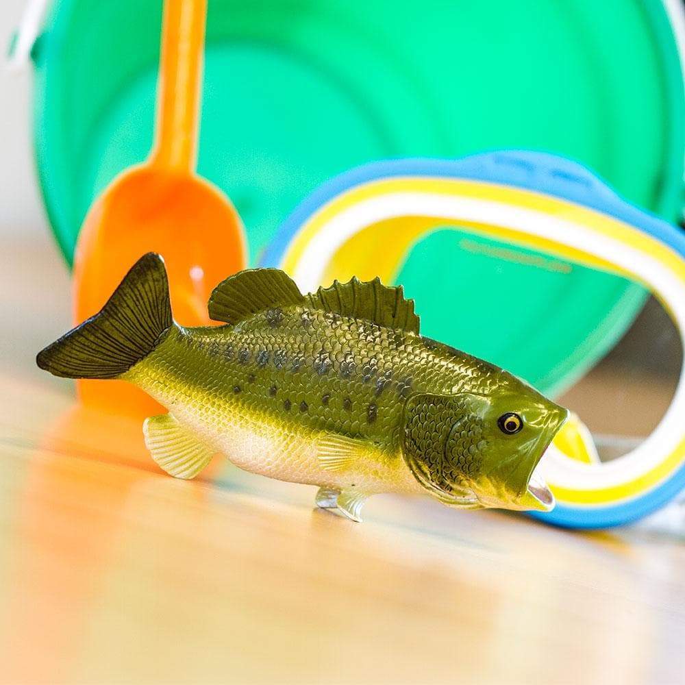 Safari - Largemouth Bass