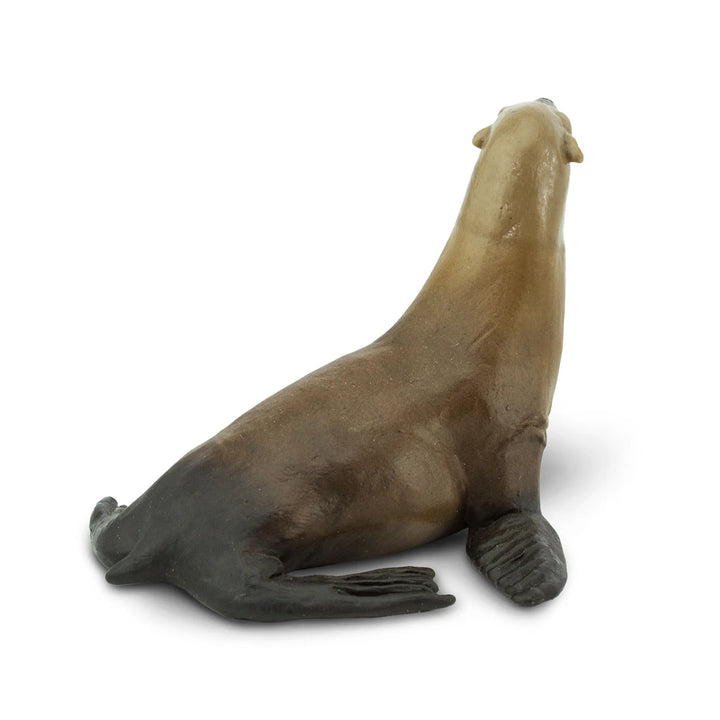 Safari - Sea Lion