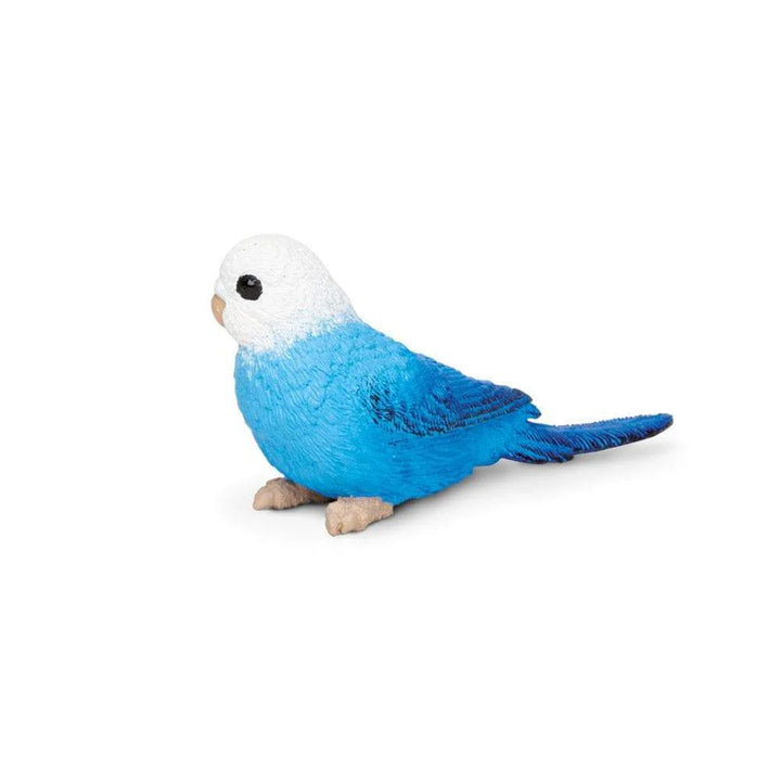 Safari - Blue Budgie