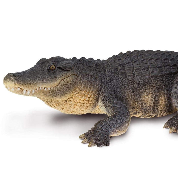 Safari - Alligator (Large)