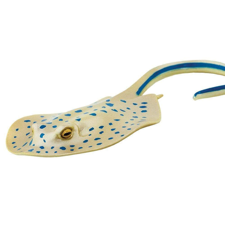 Safari - Blue Spotted Ray