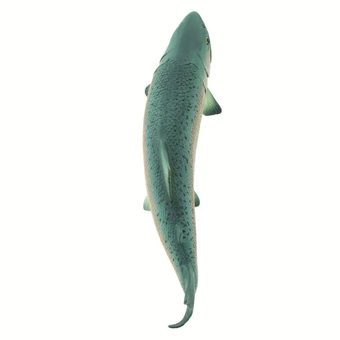 Safari - Salmon