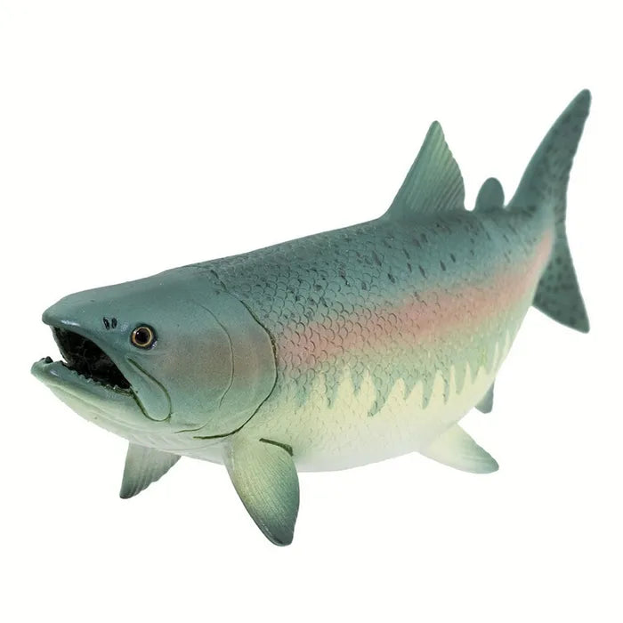 Safari - Salmon