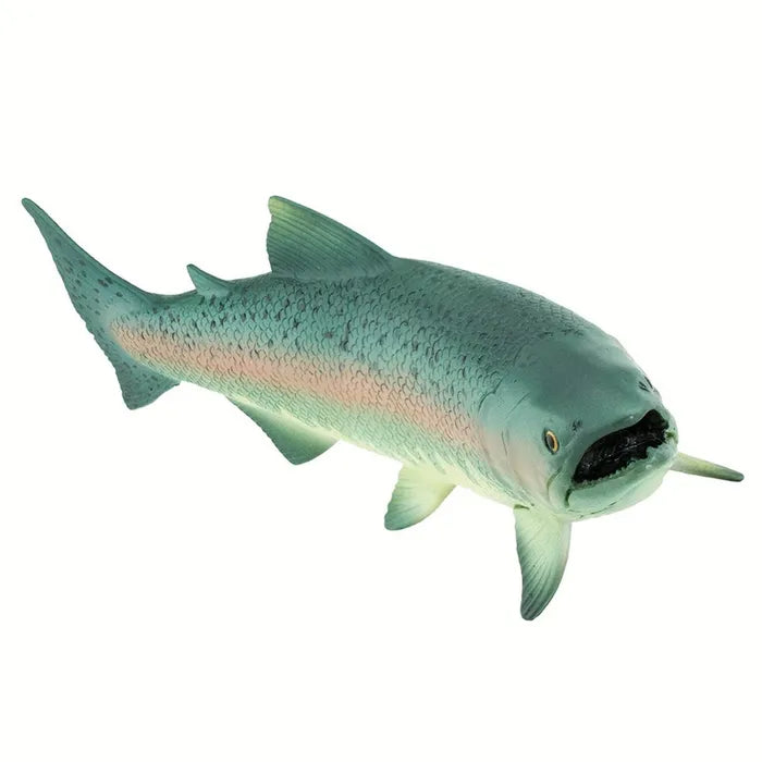 Safari - Salmon