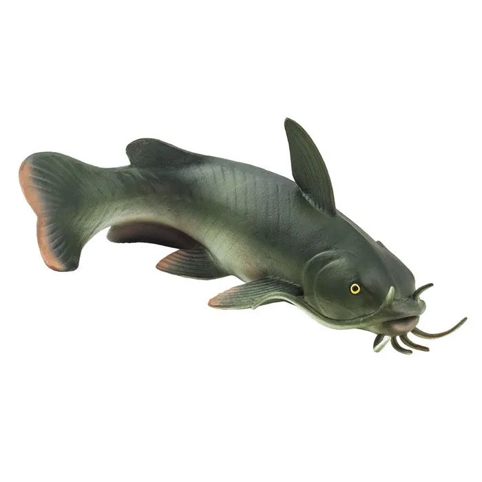 Safari - Catfish