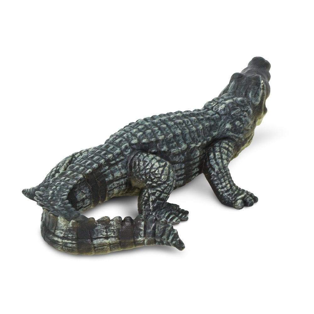Safari - Crocodile