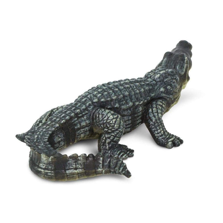 Safari - Crocodile