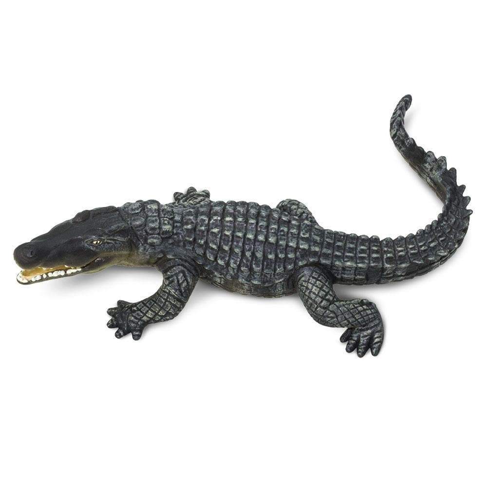 Safari - Crocodile