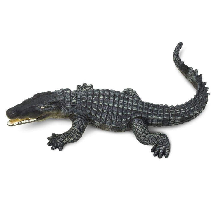 Safari - Crocodile