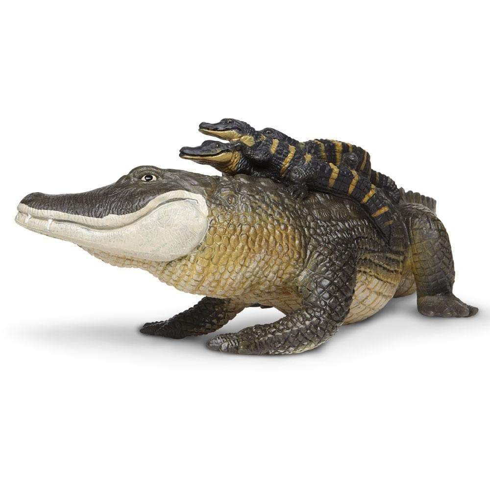 Safari - Alligator with Babies (Jumbo)