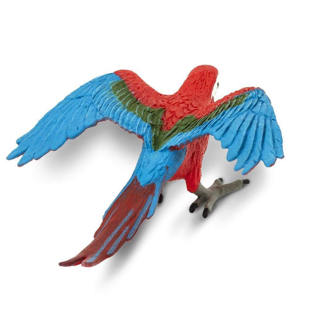 Safari - Green-Winged Macaw