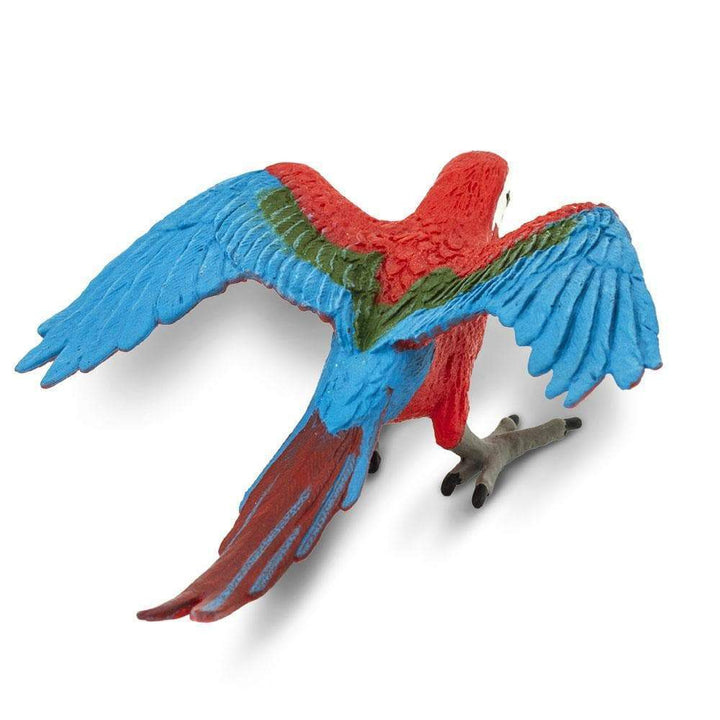 Safari - Green-Winged Macaw