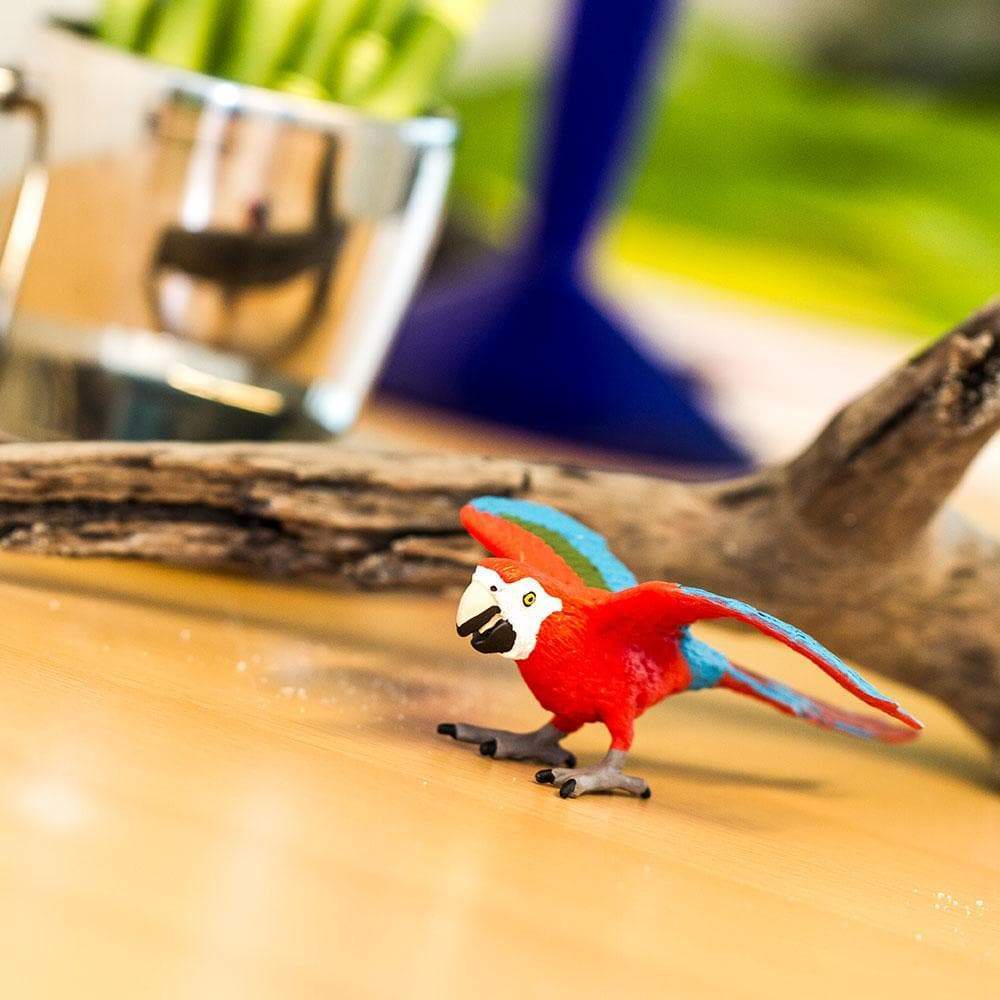 Safari - Green-Winged Macaw