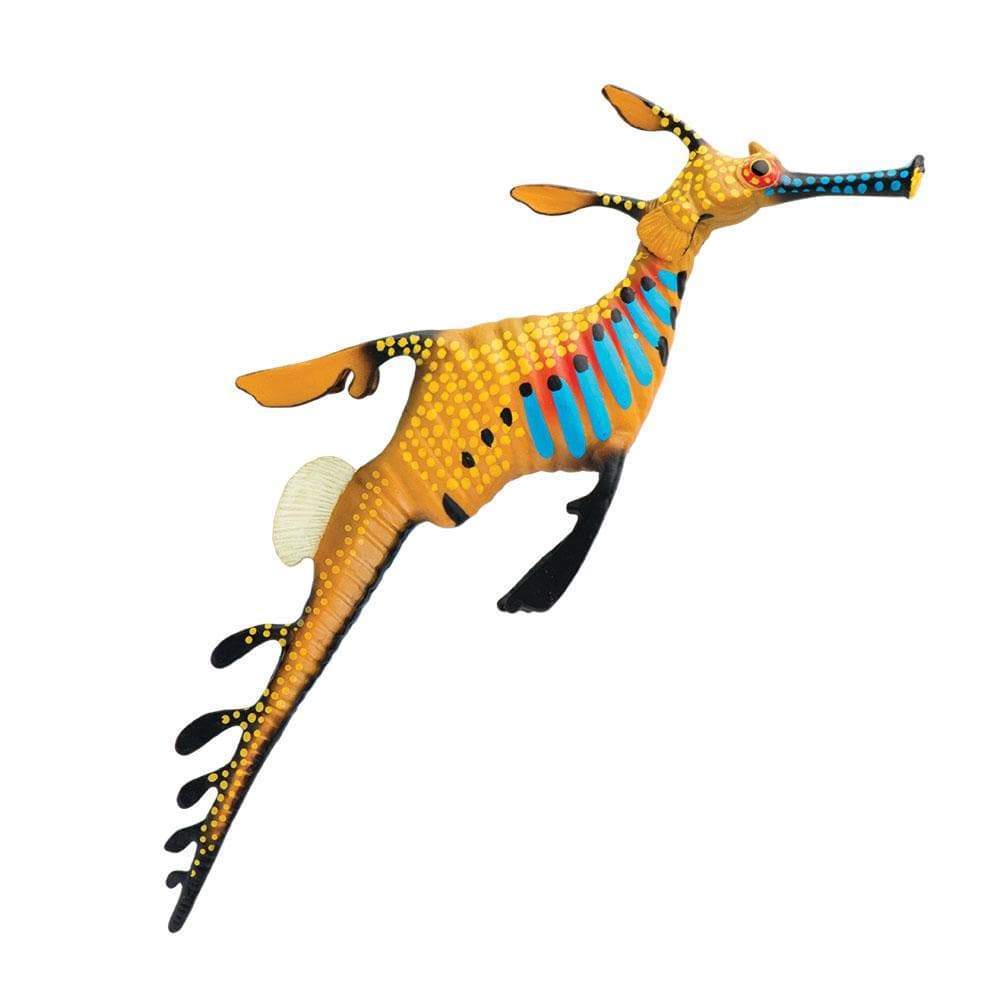 Safari - Weedy Seadragon