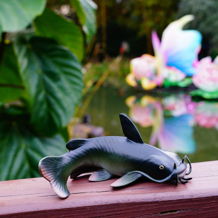 Safari - Catfish