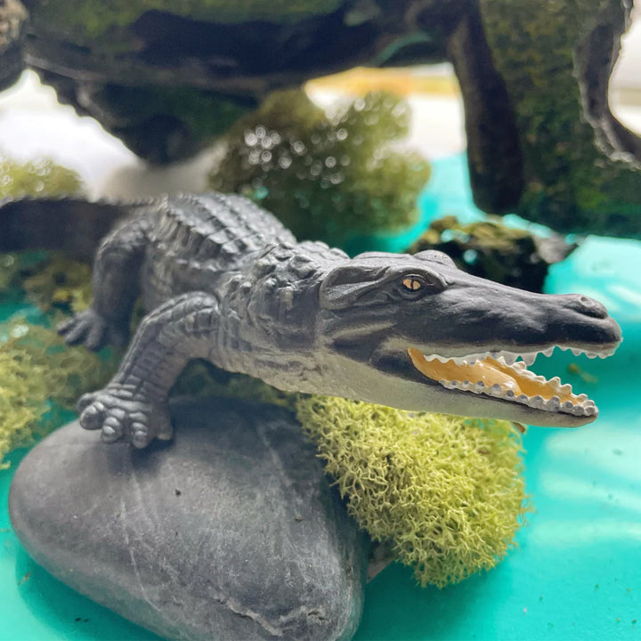Safari - Crocodile