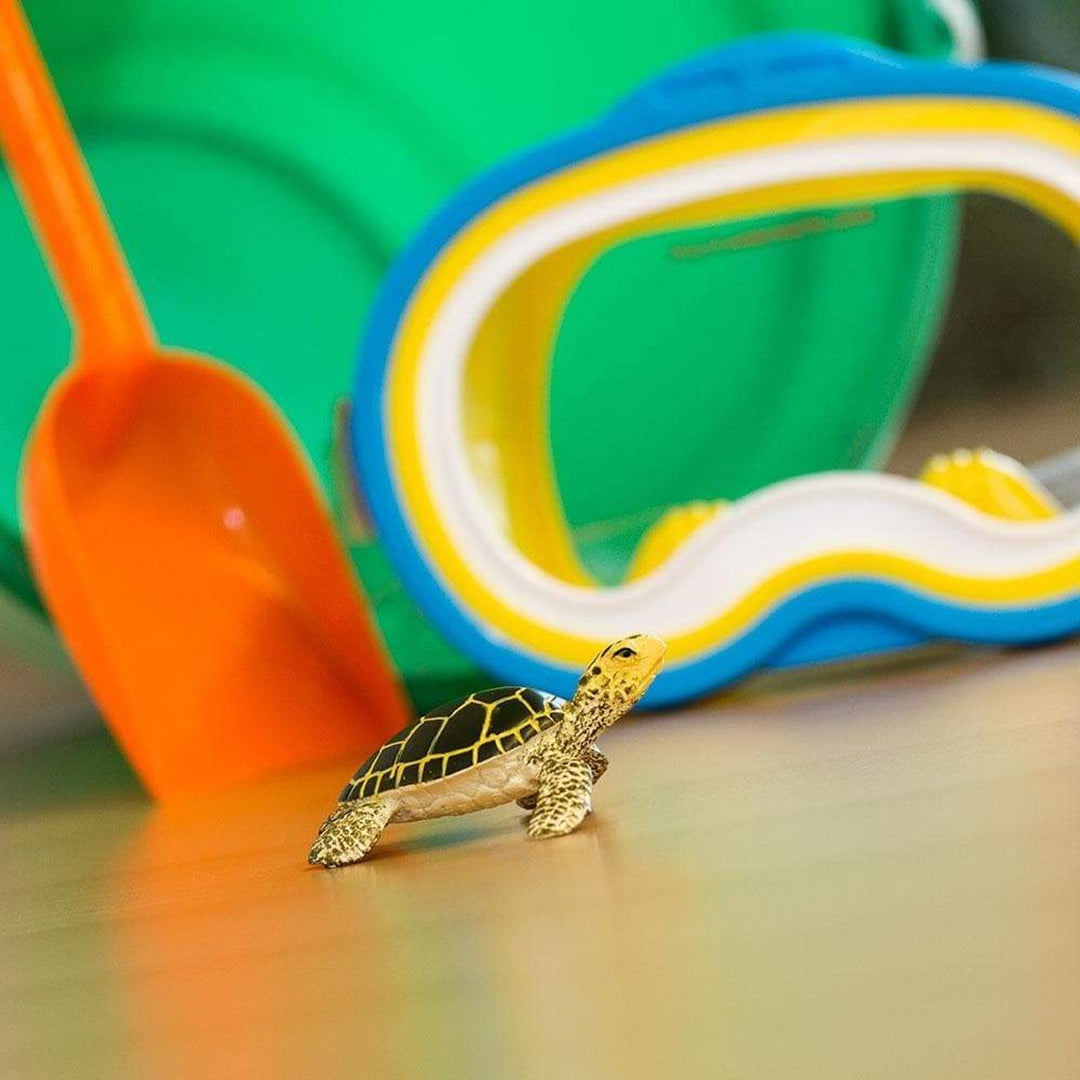 Safari - Green Sea Turtle Baby