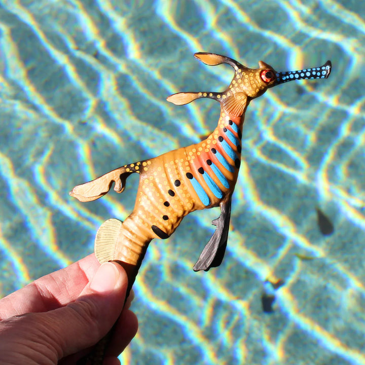 Safari - Weedy Seadragon