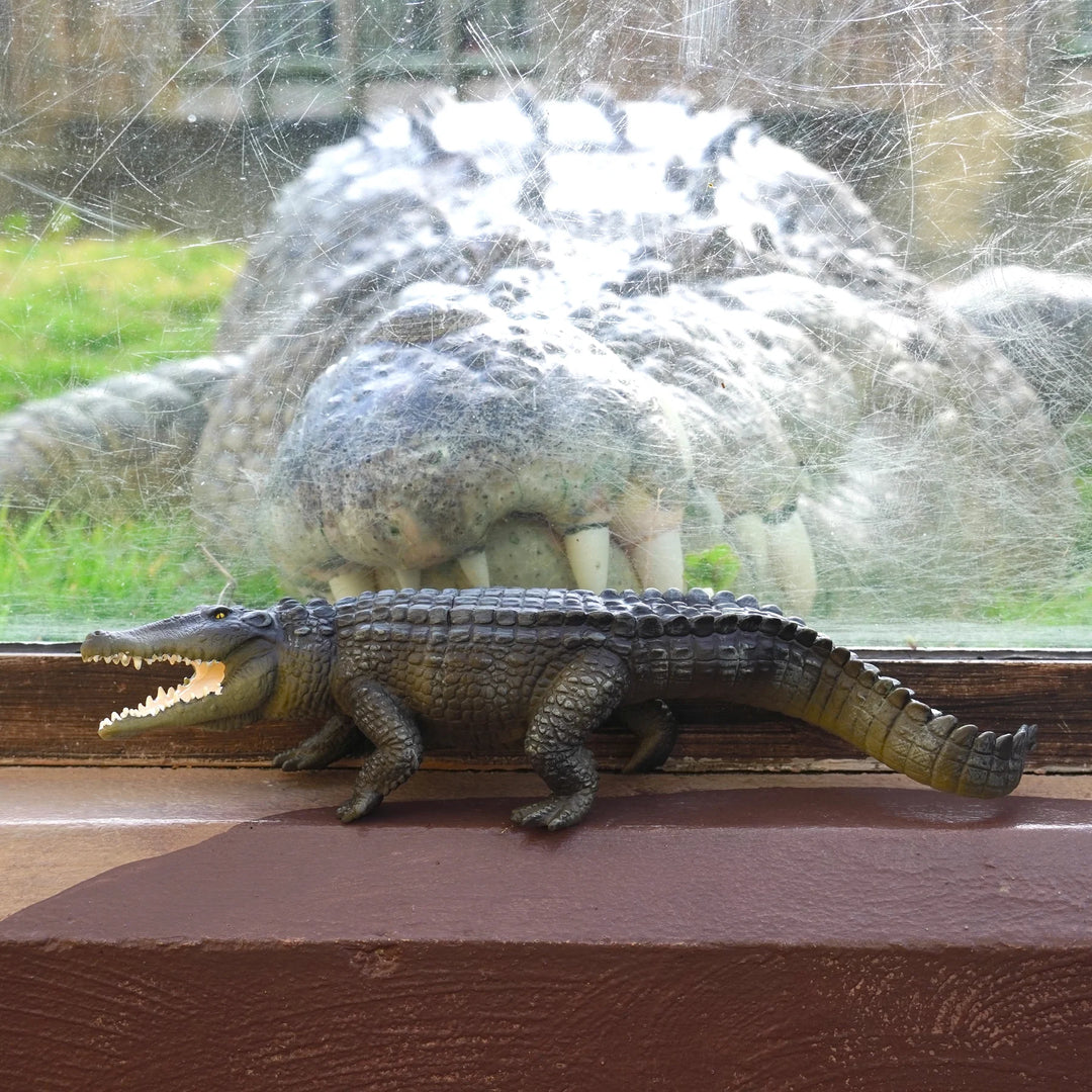 Safari - Saltwater Crocodile (Extra Large)