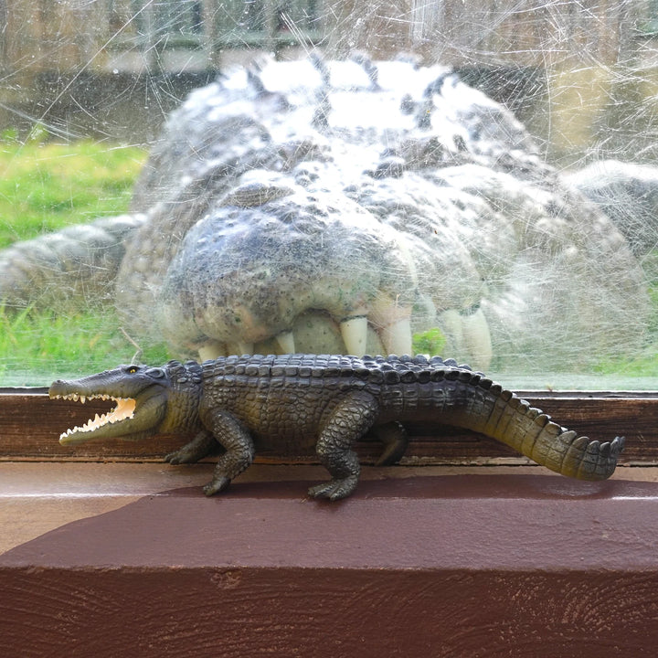 Safari - Saltwater Crocodile (Extra Large)