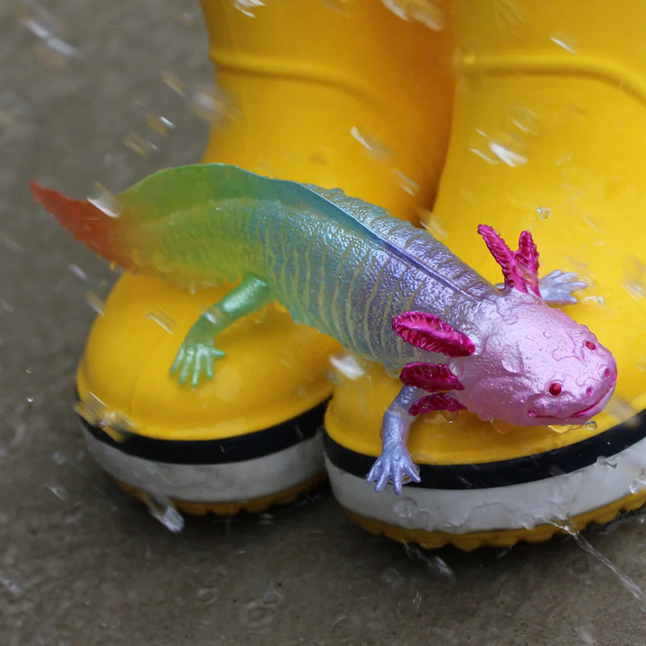 Safari - Rainbow Axolotl