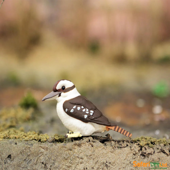 Safari - Kookaburra