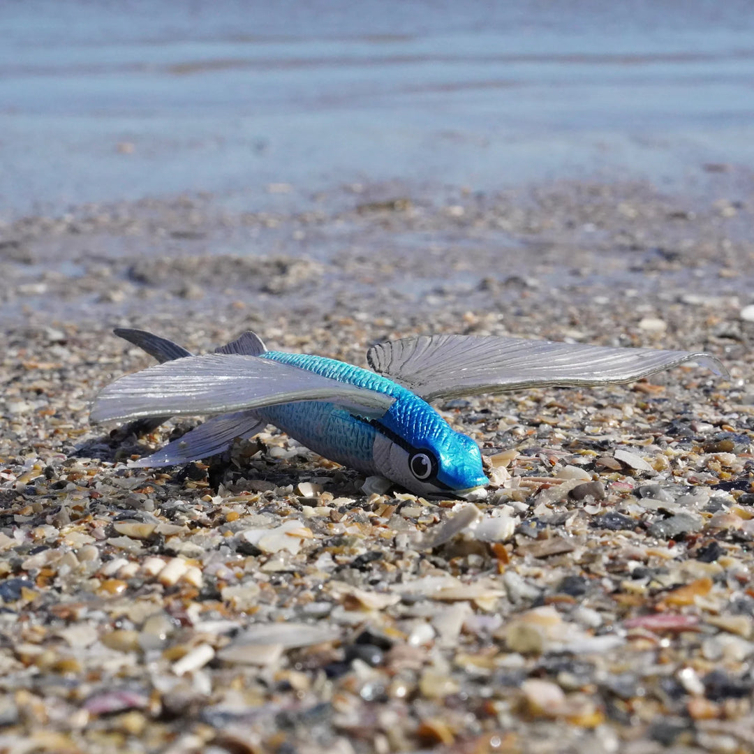 Safari - Flying Fish