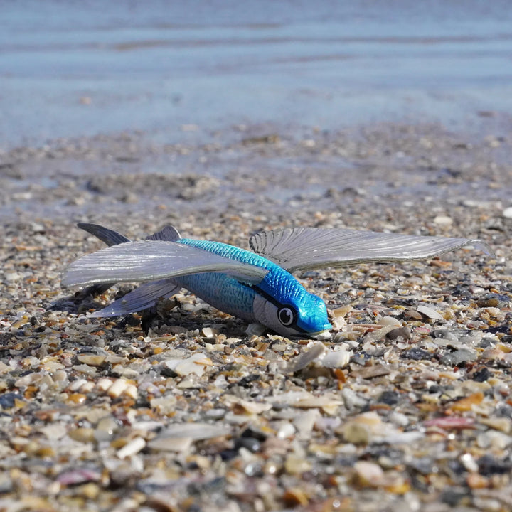 Safari - Flying Fish