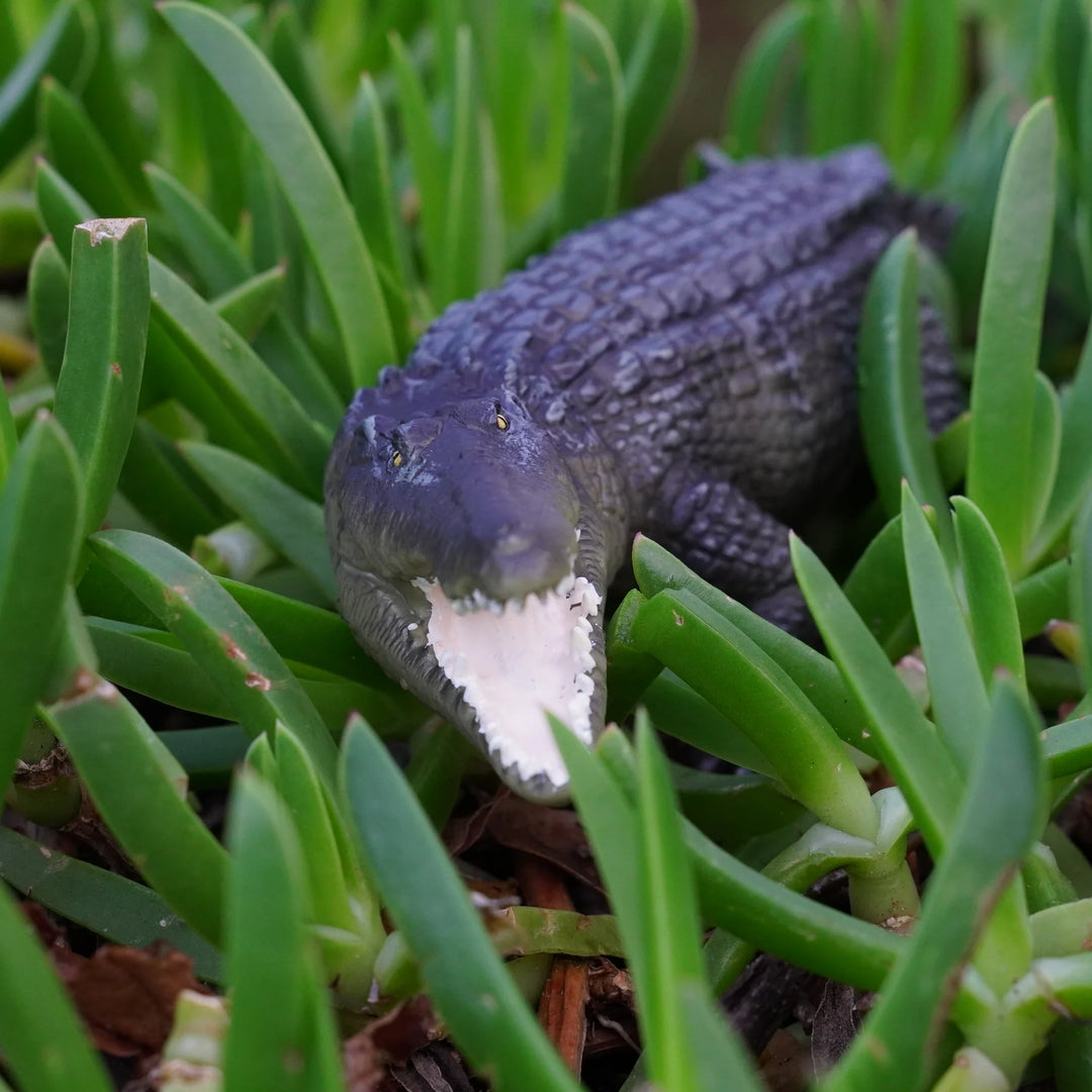 Safari - Saltwater Crocodile (Extra Large)