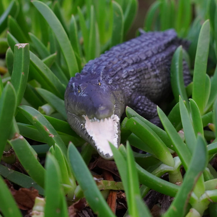 Safari - Saltwater Crocodile (Extra Large)