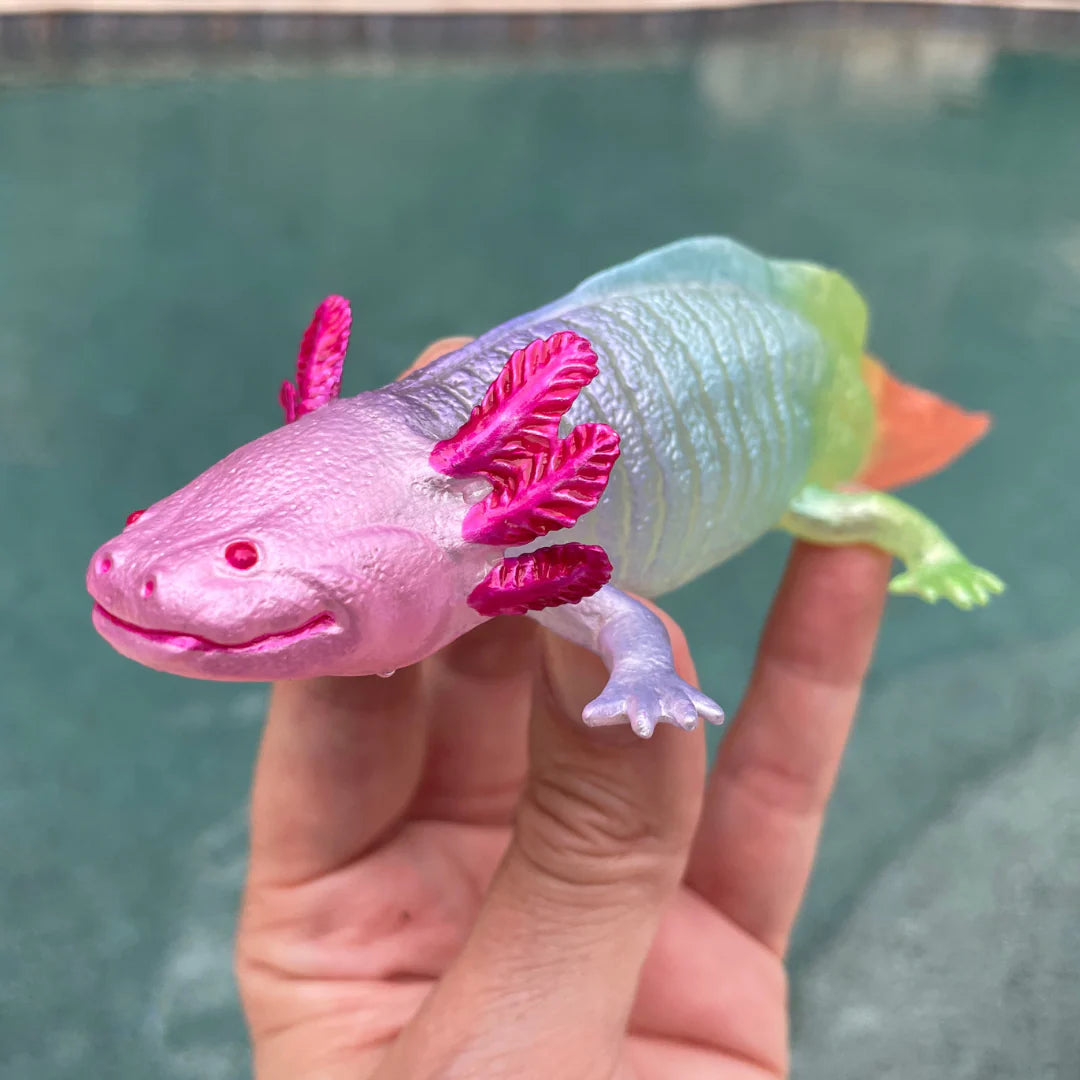 Safari - Rainbow Axolotl