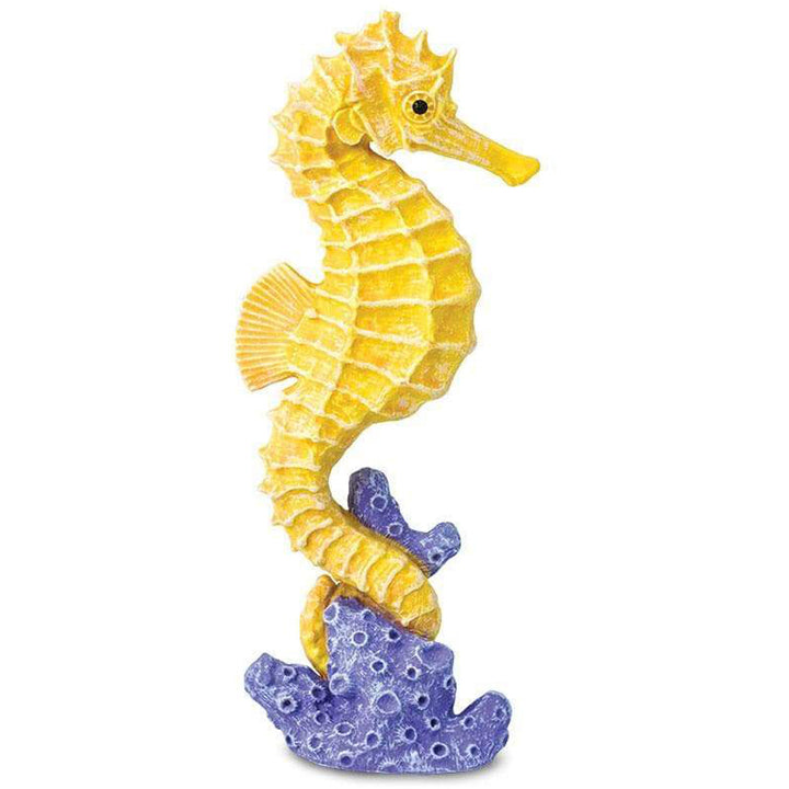 Safari - Seahorse