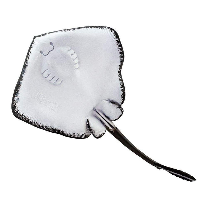 Safari - Sting Ray