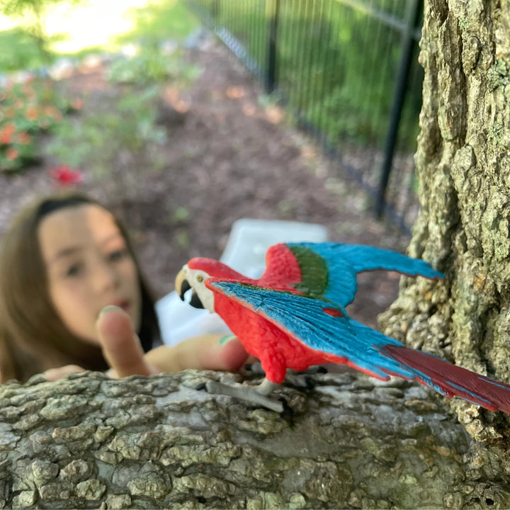 Safari - Green-Winged Macaw