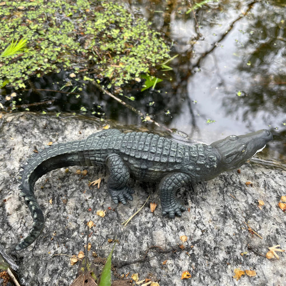 Safari - Crocodile