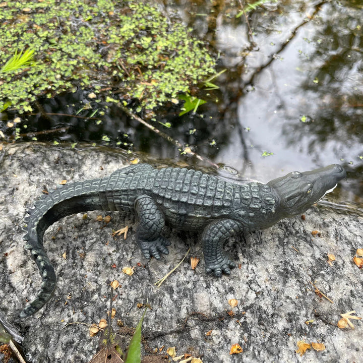 Safari - Crocodile